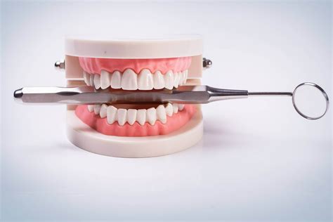 Diş protez teknikleri